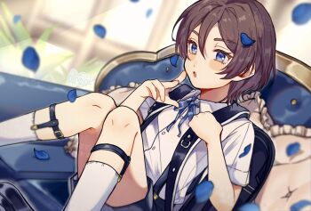 1boy aged_down armchair backpack bag blue_eyes blurry blurry_background brown_hair chair child collared_shirt feet_out_of_frame hair_between_eyes highres indoors kashi_ore_3 king_of_prism male_focus neck_ribbon norizuki_jin on_chair open_mouth petals pillow pretty_rhythm pretty_series randoseru ribbon rose_petals shirt short_hair short_sleeves shorts sitting socks solo white_shirt white_socks window