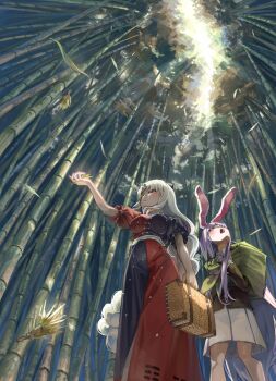 Rule 34 | 2girls, animal ears, bamboo, bamboo23091, bamboo forest, black jacket, blazer, blue dress, blush, commentary request, constellation print, dress, forest, from below, grey hair, highres, holding, jacket, long hair, looking up, multiple girls, nature, open mouth, outdoors, pleated skirt, print dress, purple hair, rabbit ears, rabbit girl, red dress, reisen udongein inaba, shirt, skirt, touhou, two-tone dress, white shirt, yagokoro eirin