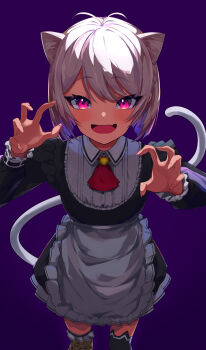 1girl absurdres alternate_hairstyle animal_ears apron black_dress blush cat_ears cat_girl cat_tail claw_pose dress fang grey_hair highres hinataa looking_at_viewer maid maid_apron matsukai_mao matsukai_mao_(2nd_costume) nijisanji official_alternate_costume open_mouth purple_eyes skin_fang smile solo tail virtual_youtuber white_apron
