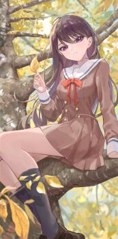 Rule 34 | 1girl, absurdres, autumn leaves, bang dream!, bang dream! it's mygo!!!!!, black socks, blacky1266859, breasts, brown dress, brown hair, commentary, commission, dress, hanasakigawa school uniform, highres, holding, holding leaf, in tree, kneehighs, leaf, long hair, long sleeves, looking at viewer, medium breasts, mole, mole under eye, parted lips, pleated dress, purple eyes, sailor collar, sailor dress, school uniform, second-party source, shiina taki, socks, solo, tree, white sailor collar