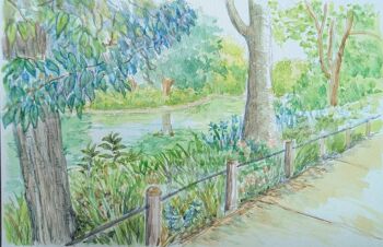 bush colored_pencil_(medium) fence_post fern harusa1107 highres no_humans original park pond rope scenery traditional_media tree water