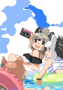 Rule 34 | 3girls, aardwolf (kemono friends), animal ears, bare shoulders, beach, black eyes, blue sky, bracelet, brown hair, camera, commentary request, extra ears, grey hair, highres, hyena ears, hyena girl, japanese wolf (kemono friends), jewelry, kemono friends, long hair, multiple girls, outdoors, rinx, sky, spotted hyena (kemono friends), swim ring, swimsuit, wolf ears, wolf girl