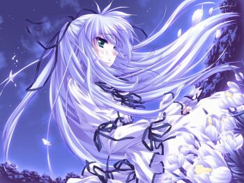1girl 2000 artist_request character_request copyright_request dress feathers flower hair_ornament hair_ribbon long_hair long_sleeves night non-web_source ribbon sky solo source_request upper_body white_hair