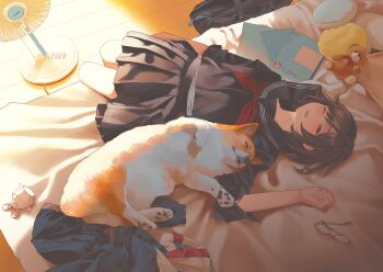 Rule 34 | 1girl, bag, bed, bed sheet, bedroom, black hair, black serafuku, black shirt, black skirt, closed eyes, commentary request, dog, electric fan, glasses, indoors, lying, medium hair, morifumi, notebook, on back, on bed, original, pleated skirt, red ribbon, ribbon, school bag, school uniform, serafuku, shirt, skirt, sleeping, stuffed animal, stuffed toy, teddy bear, welsh corgi