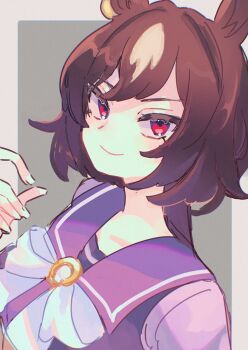 1girl animal_ears bow bowtie breasts brown_hair closed_mouth hair_between_eyes highres horse_ears horse_girl long_hair long_sleeves looking_at_viewer multicolored_hair nbnbpuppy purple_sailor_collar purple_serafuku purple_shirt red_eyes sailor_collar sailor_shirt school_uniform serafuku shirt simple_background sirius_symboli_(umamusume) smile solo streaked_hair tracen_school_uniform umamusume upper_body white_bow white_bowtie white_hair