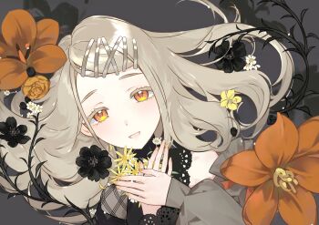 Rule 34 | 1girl, absurdres, black flower, black shirt, colored eyelashes, contrast (idolmaster), fingernails, floating hair, flower, gakuen idolmaster, grey background, grey hair, hair ornament, hairclip, hands on own chest, hashtag-only commentary, highres, holding, holding flower, idolmaster, kilo1999forever, long hair, long sleeves, looking at viewer, nail polish, open mouth, orange eyes, orange flower, orange nails, parallel hairclips, shinosawa hiro, shirt, smile, solo, swept bangs, upper body, white flower, x hair ornament, yellow flower