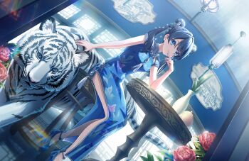 1girl animal_print bare_legs blue_dress blue_shoes breasts butterfly_print china_dress chinese_clothes closed_mouth cup double_bun dress dutch_angle flower game_cg hair_bun hand_on_animal high_heels highres indoors link!_like!_love_live! long_dress long_hair looking_at_viewer love_live! murano_sayaka murano_sayaka_(si_lianqin_zhi_hu) non-web_source official_alternate_costume official_alternate_hairstyle official_art print_dress red_flower round_table shiren_koto_no_tora_(love_live!) shoes short_sleeves side_slit small_breasts smile solo table teacup tiger twintails vase virtual_youtuber white_tiger