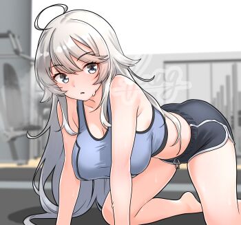 1girl absurdres ahoge all_fours blue_sports_bra blush breasts exercise_machine exercising furaggu_(frag_0416) grey_eyes grey_hair gym highres indoors kantai_collection large_breasts long_hair looking_at_viewer navel shorts smile solo sports_bra sportswear stretching sweat washington_(kancolle) watermark