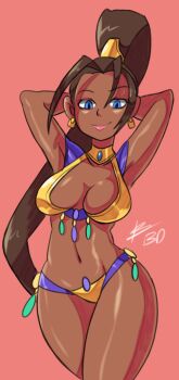 Rule 34 | 1girl, arabian clothes, armpits, arms behind head, bigdead, blue eyes, breasts, brown hair, choker, cleavage, contrapposto, dark skin, dark-skinned female, earrings, female focus, highres, jewelry, large breasts, lips, long hair, midriff, ponytail, pullum purna, simple background, smile, solo, street fighter, street fighter ex (series), very dark skin