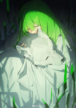 1other absurdres androgynous animal animal_hug chinese_commentary closed_eyes commentary_request enkidu_(fate) fate/strange_fake fate_(series) green_hair hair_between_eyes highres long_hair on_grass other_focus outdoors rhg robe white_robe wolf_(fate)