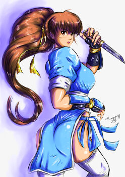 1girl ass breasts brown_hair chinosama dead_or_alive from_behind highres kasumi_(doa) large_breasts long_hair ninja ponytail short_sleeves sword thighhighs weapon