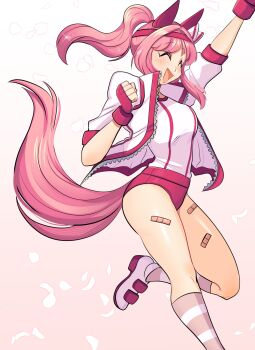 1girl :d ^_^ absurdres animal_ears arm_up bandaid bandaid_on_face buruma closed_eyes commentary ear_covers english_commentary falling_petals fingerless_gloves gloves gradient_background haru_urara_(bestest_prize)_(umamusume) haru_urara_(umamusume) headband highres horse_ears horse_girl horse_tail jacket kneehighs long_hair missandydandy open_mouth petals pink_background pink_hair pink_socks ponytail red_buruma red_gloves red_headband smile socks solo striped_clothes striped_socks tail tearing_up umamusume white_background white_jacket zipper