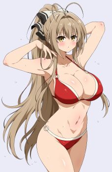 1girl absurdres amagi_brilliant_park antenna_hair arm_behind_head bikini blush breasts brown_eyes brown_hair cleavage commentary eggman_(ni_tamagoex) grey_background hair_ribbon highres large_breasts navel nose_blush o-ring o-ring_bikini o-ring_bottom o-ring_top parted_lips ponytail red_bikini ribbon sento_isuzu simple_background solo swimsuit symbol-only_commentary