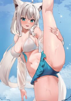 1girl :d absurdres ahoge animal_ears aqua_eyes bare_legs bare_shoulders bikini blue_bikini blue_sky blush braid breasts cleavage collarbone day fox_ears fox_girl fox_tail frilled_bikini frills gluteal_fold highres hololive large_breasts leg_up long_hair mismatched_bikini navel open_clothes open_mouth open_shirt outdoors see-through_clothes see-through_shirt shirakami_fubuki shirt side_braid sky smile solo split standing standing_on_one_leg standing_split swimsuit tail trefoil very_long_hair virtual_youtuber water wet wet_clothes wet_shirt white_bikini white_hair white_shirt woogi_(duguddnr)
