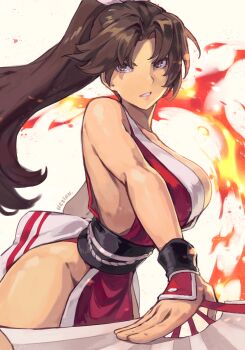 1girl breasts fatal_fury highres large_breasts long_hair shiranui_mai tagme