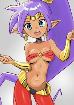 1girl dark_skin detesu earrings female_focus jewelry looking_at_viewer midriff ponytail purple_hair shantae shantae_(series)