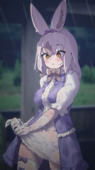 1girl animal_ears blush bow bowtie brown_eyes dress elbow_gloves extra_ears gloves grey_hair kemono_friends long_hair lowlandgorilla panties purple_dress rabbit_ears rabbit_girl rain ribbon skirt snowshoe_hare_(kemono_friends) solo thighhighs underwear