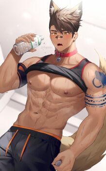 Rule 34 | 1boy, abs, animal ears, arm tattoo, arm up, armband, bandaid, bandaid on face, bell, black pants, black tank top, blush, bottle, broad shoulders, brown eyes, brown hair, clothes lift, collar, collarbone, commentary request, commission, cowboy shot, groin, hao (haozz), holding, holding bottle, looking at viewer, male focus, muscular, muscular male, navel, neck bell, open mouth, original, pants, pectorals, plastic bottle, red collar, shirt lift, short hair, skeb commission, solo, sweat, tail, tank top, tattoo, teeth, tongue, very sweaty, wolf boy, wolf ears, wolf tail