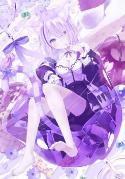 1girl 54hao :3 ahoge animal_ear_fluff animal_ears bare_legs barefoot black_jacket black_shorts blue_bow blue_flower bow breasts cat_ears cat_girl cat_tail checkerboard_cookie cherry cleavage closed_mouth commentary cookie cup drinking_glass dutch_angle feet finger_to_mouth flower food fruit hair_over_one_eye hand_up heart highres hololive ice ice_cube in_container in_cup jacket long_sleeves looking_at_viewer medium_breasts mini_person minigirl multicolored_hair nekomata_okayu nekomata_okayu_(wonderland) off_shoulder open_clothes open_jacket partially_submerged puffy_long_sleeves puffy_sleeves purple_eyes purple_hair shirt short_shorts shorts soles solo strawberry streaked_hair striped_tail tail tail_bow tail_ornament toes virtual_youtuber water white_shirt