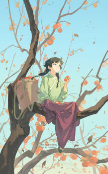 1girl absurdres basket beads black_shoes blue_eyes chinese_clothes eating flats food fruit full_body green_hair green_shirt hair_beads hair_bun hair_ornament highres holding holding_food holding_fruit in_tree kusuriya_no_hitorigoto maomao_(kusuriya_no_hitorigoto) persimmon purple_skirt shirt shoes sidelocks skirt solo tree tsubsa_syaoin