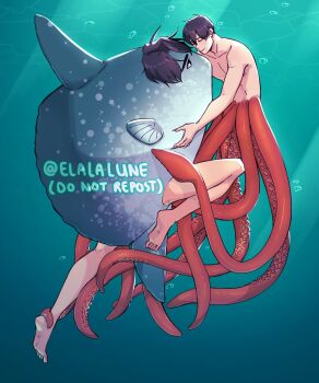 2boys black_eyes black_hair closed_eyes curtained_hair elalalune fish full_body highres hug kemonomimi_mode kim_dokja looking_at_another male_focus multiple_boys no_shirt ocean_sunfish octopus omniscient_reader&#039;s_viewpoint short_hair subsurface_scattering swimming tentacles toned toned_male underwater yoo_joonghyuk