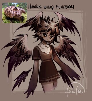Rule 34 | 1girl, bird girl, bird wings, dress, english text, feefal, fungi, funguary, highres, mushroom, mushroom girl, object and personification, original, personification, photo inset, procreate (medium), reference inset, signature, simple background, smile, solo, wings