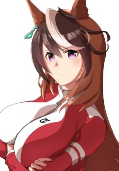 1girl animal_ears brown_hair closed_mouth commentary_request crossed_arms difkworks earrings hair_between_eyes horse_ears horse_girl jacket jewelry long_hair long_sleeves multicolored_hair pants purple_eyes red_jacket red_pants shadow simple_background single_earring solo streaked_hair symboli_rudolf_(umamusume) tracen_training_uniform track_jacket track_pants umamusume upper_body very_long_hair white_background