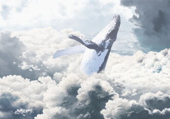 animal animal_focus cloud cloudy_sky commentary day english_commentary flying_whale highres hoeya humpback_whale no_humans original outdoors sky whale