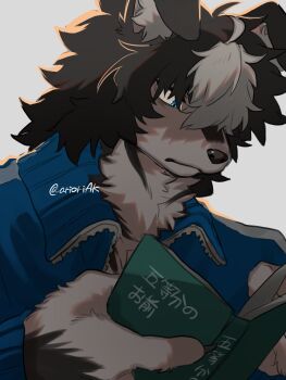 1boy aya_(arioriak) black_fur black_hair blue_shirt body_fur book commentary_request dog_boy furry furry_male grey_background grey_fur hands_up highres holding holding_book male_focus original reading shirt simple_background solo upper_body