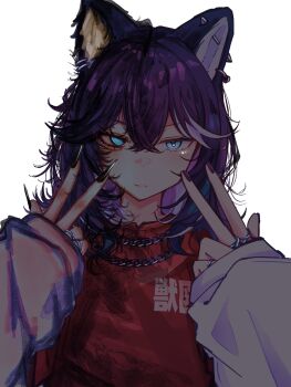 Rule 34 | 1girl, absurdres, animal ear piercing, animal ears, black nails, blue eyes, closed mouth, commentary request, dog ears, dog girl, double-parted bangs, double w, fingernails, grey streaks, hair between eyes, hands up, highres, jewelry, kmnz, long fingernails, long sleeves, looking at viewer, medium hair, mismatched pupils, multicolored hair, multiple rings, nail polish, nero (kmnz), no name ver1, purple hair, red shirt, ring, ringed eyes, serious, shirt, simple background, sleeves past wrists, solo, streaked hair, upper body, virtual youtuber, w, white background