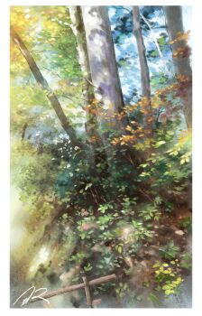 border commentary_request day foliage forest nature no_humans nzwt original outdoors scenery signature tree white_border