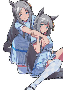 2girls alternate_costume blunt_bangs blush breasts chrono_genesis_(umamusume) commentary_request dress from_behind grass_wonder_(umamusume) grey_hair hair_between_eyes hair_ornament halloween highres long_hair maharu66 multiple_girls simple_background sitting small_breasts smile thighhighs umamusume white_background