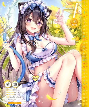 Rule 34 | 1girl, 2026, :d, absurdres, animal ears, artist name, bare arms, bare legs, bikini, black hair, blue bikini, blue bow, blue bowtie, blush, bow, bowtie, breasts, calendar (medium), cat ears, cat girl, cat tail, cleavage, convenient leg, day, dengeki moeoh, detached collar, fang, feet out of frame, field, fingernails, flower, flower field, frilled bikini, frilled thigh strap, frills, hair between eyes, hair over shoulder, hands up, highres, holding, holding hose, hose, knees together feet apart, legs, long hair, looking at viewer, magazine scan, maid, maid bikini, maid headdress, medium breasts, open mouth, original, outdoors, purple eyes, sakura moyon, scan, shiny skin, sitting, smile, solo, sunflower, sunflower field, swimsuit, tail, thigh strap, thighs, third-party source, translation request, unconventional maid, v-shaped eyebrows, water