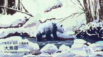 animal animal_focus bare_tree chinese_commentary chromatic_aberration commentary_request day english_text fangpeii highres mixed-language_text multilingual_text nature no_humans original outdoors panda scenery snow species_name stream translation_request tree winter