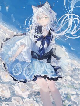 1girl animal_ears arknights cat_ears closed_mouth commentary_request dress fumi_(rdbm) green_eyes highres long_hair looking_at_viewer official_alternate_costume partial_commentary rosmontis_(an_airy_dream)_(arknights) rosmontis_(arknights) solo white_dress white_hair