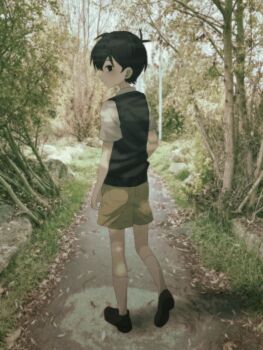 1boy absurdres antenna_hair black_eyes black_hair black_shoes black_sweater_vest brown_shorts collared_shirt day forest from_behind highres loafers looking_at_viewer male_focus my_loleeta nature omori outdoors photo_background shirt shoes short_hair short_sleeves shorts socks solo sunny_(omori) sweater_vest tree white_shirt white_socks
