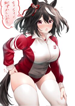 1girl animal_ears black_hair blush breasts buruma commentary_request corrupted_twitter_file hair_ornament highres horse_ears horse_girl horse_tail jacket kitasan_black_(umamusume) large_breasts long_sleeves looking_at_viewer multicolored_hair red_buruma red_eyes red_hayao red_jacket red_ribbon red_track_suit ribbon short_hair simple_background skindentation solo speech_bubble streaked_hair tail thick_thighs thighhighs thighs tracen_training_uniform track_jacket track_suit translation_request two_side_up umamusume white_background white_hair white_streaks white_thighhighs