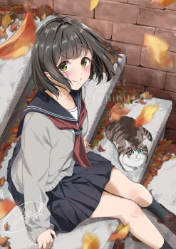 1girl autumn autumn_leaves black_hair black_sailor_collar black_skirt black_socks blush breasts brick_wall brown_shoes cat cat_loaf closed_mouth commentary_request falling_leaves foot_out_of_frame green_eyes grey_sweater highres leaf loafers long_sleeves looking_at_viewer miniskirt neckerchief original pleated_skirt red_neckerchief sailor_collar school_uniform serafuku shoes short_hair signature sitting sitting_on_stairs skirt small_breasts smile socks solo soragane_(banisinngurei) stairs sweater watermark