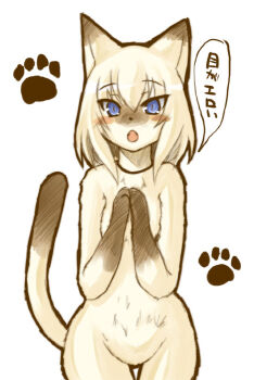 Rule 34 | animal ears, animal hands, blue eyes, blush, cat ears, cat tail, fangs, furry, nude, open mouth, tail