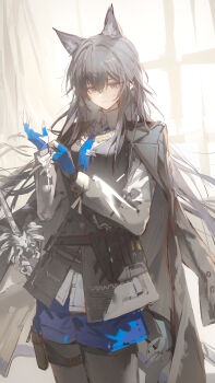 1girl absurdres adjusting_clothes adjusting_gloves animal_ear_fluff animal_ears arknights black_coat black_hair black_pantyhose black_vest blue_gloves blue_necktie blue_shorts breasts brown_eyes closed_mouth coat coat_on_shoulders collared_shirt cowboy_shot fingerless_gloves gloves highres long_hair long_sleeves looking_at_viewer luozhou_pile medium_breasts necktie pantyhose pouch shirt short_shorts shorts solo square-end_necktie tail texas_(arknights) texas_the_omertosa_(arknights) thigh_pouch vest white_shirt wolf_ears wolf_girl wolf_tail
