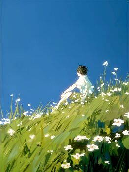 0k_sic 1boy black_hair blue_sky commentary_request field flower grass hands_on_own_knees highres korean_commentary male_focus original outdoors shirt shorts sitting sky solo white_flower white_shirt