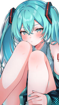 Rule 34 | 1girl, :t, absurdres, aqua eyes, aqua hair, aqua nails, arm tattoo, blush, check commentary, commentary, commentary request, detached sleeves, ghostnukko, hair between eyes, hatsune miku, head on knee, head rest, highres, legs, long hair, looking at viewer, pout, sitting, solo, tattoo, twintails, vocaloid, white background