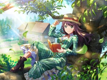 1girl book boots breasts brown_boots building closed_mouth cosplay day dress falling_leaves frilled_dress frills game_cg glasses green_dress green_eyes hair_down hat high_heel_boots high_heels holding holding_book hoshimi_junna leaf little_women long_hair long_sleeves looking_at_viewer medium_breasts neck_ribbon official_art on_tree open_book plaid_clothes plaid_dress purple_hair reclining red_ribbon ribbon shoujo_kageki_revue_starlight shoujo_kageki_revue_starlight_-re_live- smile solo straw_hat