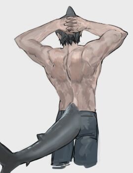Rule 34 | 1boy, absurdres, arms behind head, back, beam (chainsaw man), black hair, chainsaw man, commentary request, cropped legs, fins, fish tail, highres, korean commentary, male focus, muscular, muscular male, shark boy, shark head, shark tail, short hair, shorts, simple background, solo, tail, topless male, wakamesame2, white background