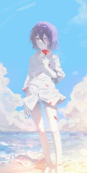 1girl absurdres beach black_hair blood blood_on_clothes chainsaw_man closed_mouth collared_shirt commentary day falling_petals feet_out_of_frame flower green_eyes highres holding holding_flower horizon medium_hair messy_hair no_pants ocean outdoors panties petals red_flower reze_(chainsaw_man) sand shirt shore sky solo standing tokkieee_qian underwear water white_panties