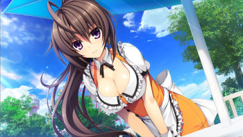 Rule 34 | 1girl, ahoge, apron, artist request, blush, breasts, brown hair, character request, cleavage, female focus, game cg, long hair, outdoors, ponytail, pretty x cation 2, sky, solo, tagme, waitress