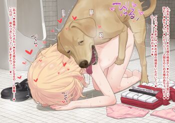 1girl barefoot bestiality black_shoes blonde_hair bow bow_panties bra commentary_request completely_nude dog doggystyle folded_clothes heart hetero idolmaster idolmaster_cinderella_girls indoors loli mary_janes neku_oneneko nude paid_reward_available panties pink_bra pink_panties sakurai_momoka sex sex_from_behind shoes short_hair solo sound_effects tile_floor tile_wall tiles toilet translated trembling underwear unworn_bra unworn_clothes unworn_panties unworn_shoes urinal variant_set