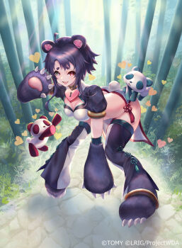 1girl ahoge animal_ears bamboo bamboo_forest bear_ears bear_girl bear_paw black_hair black_thighhighs breasts cleavage copyright_notice dqn_(dqnww) fang forest heart heterochromia highres looking_at_viewer medium_breasts nature official_art open_mouth panda pandada_(wixoss) red_eyes short_hair short_shorts shorts smile solo strapless thighhighs tube_top white_shorts white_tube_top wixoss yellow_eyes