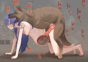 1girl all_fours animal_penis bar_censor bestiality blue_hair breasts brown_eyes censored clenched_teeth commentary_request commission completely_nude dog dog_penis doggystyle fetus full_body idolmaster kisaragi_chihaya knotted_penis long_hair medium_breasts nipples nude paid_reward_available parted_lips penis pregnant sex sex_from_behind skeb_commission sound_effects teeth tsurugi_(the_horizon) umbilical_cord uterus vaginal x-ray