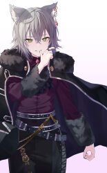 1girl absurdres animal_ears ascot belt biting biting_own_thumb black_ascot black_belt black_shirt chain commentary cowlick dot_nose fingernails fur-trimmed_jacket fur_trim gem gold_chain green_eyes grey_hair highres hinomori_shiho jacket jewelry kemonomimi_mode leo/need_(project_sekai) long_fingernails long_sleeves looking_at_viewer official_alternate_costume official_alternate_hairstyle project_sekai red_gemstone ring shirt short_hair simple_background smile solo timmoo white_background wolf_ears wolf_girl zekkyou!?_ookami_no_mori_e_youkoso!_(project_sekai)